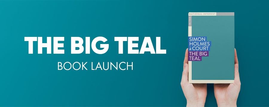 Banner with text 'The Big Teal book launch' and a picture of hands holding a copy of the book on a teal background