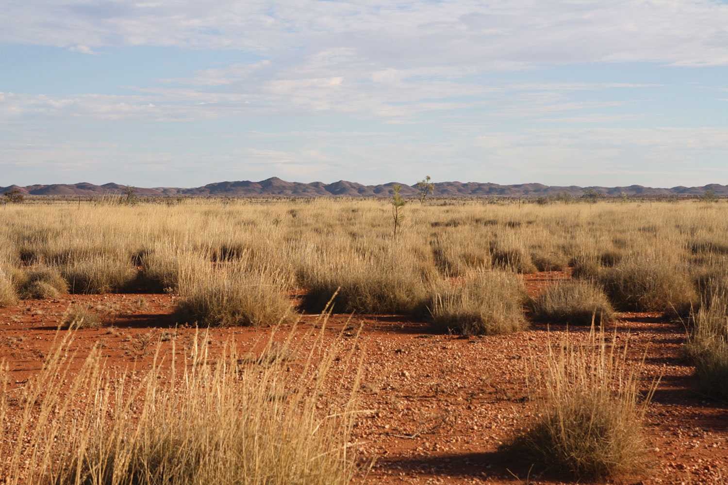 Pilbara country: Warrawoona Hills, near Marble Bar
