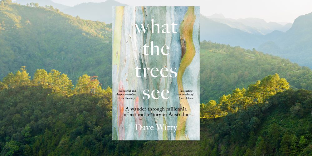 What the Trees See Book Launch