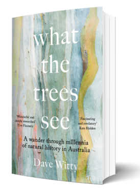 What the Trees See 3D cover